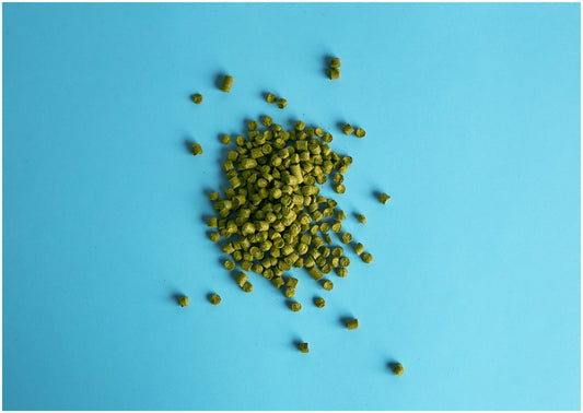 Craft Brewing 101: Hops