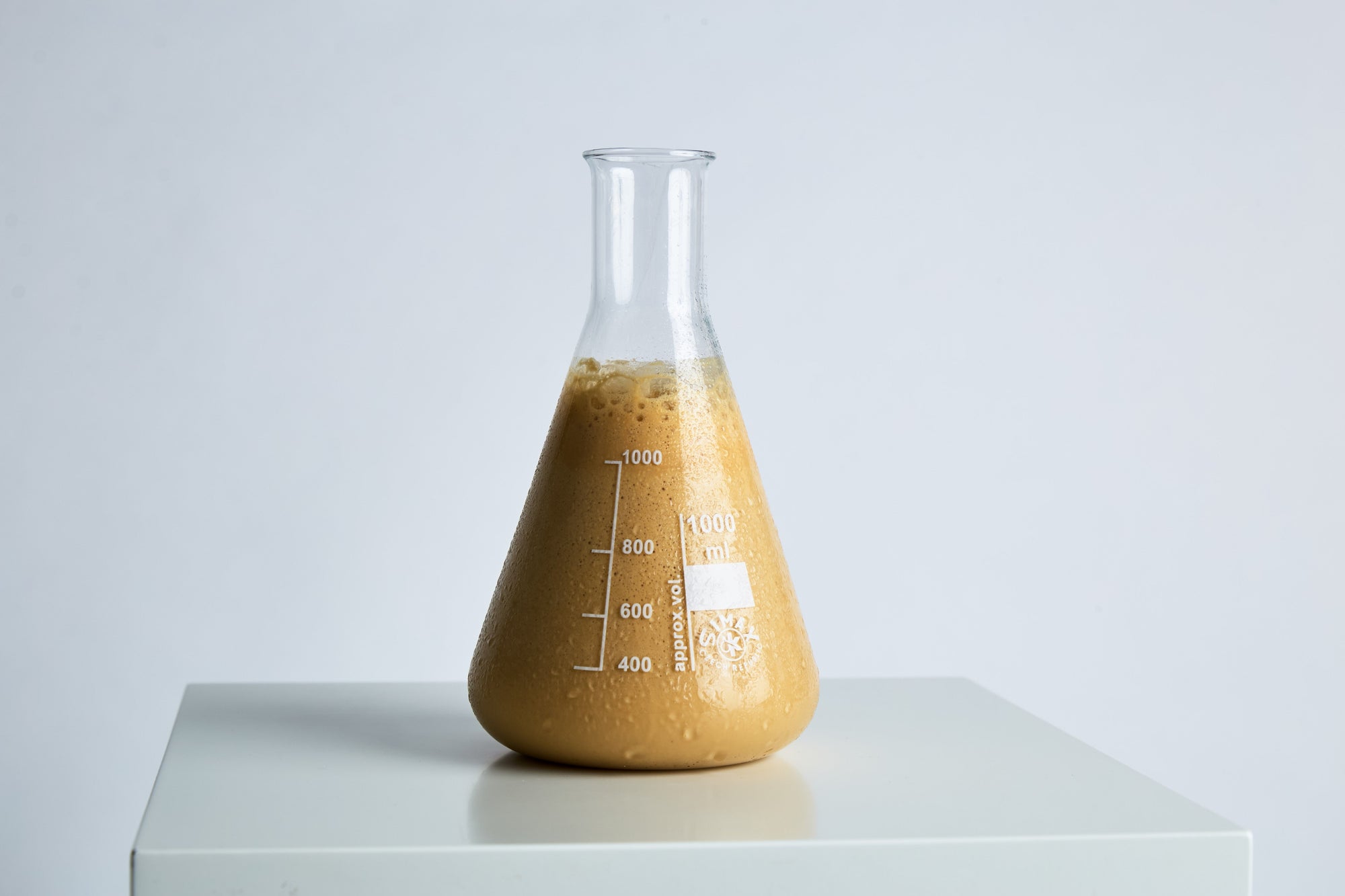 Craft Brewing 101: The Yeast We Can Do