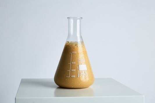Craft Brewing 101: The Yeast We Can Do